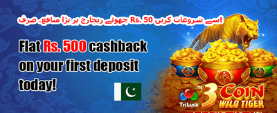 خوش آمدید بونس - 100% میچ promotion